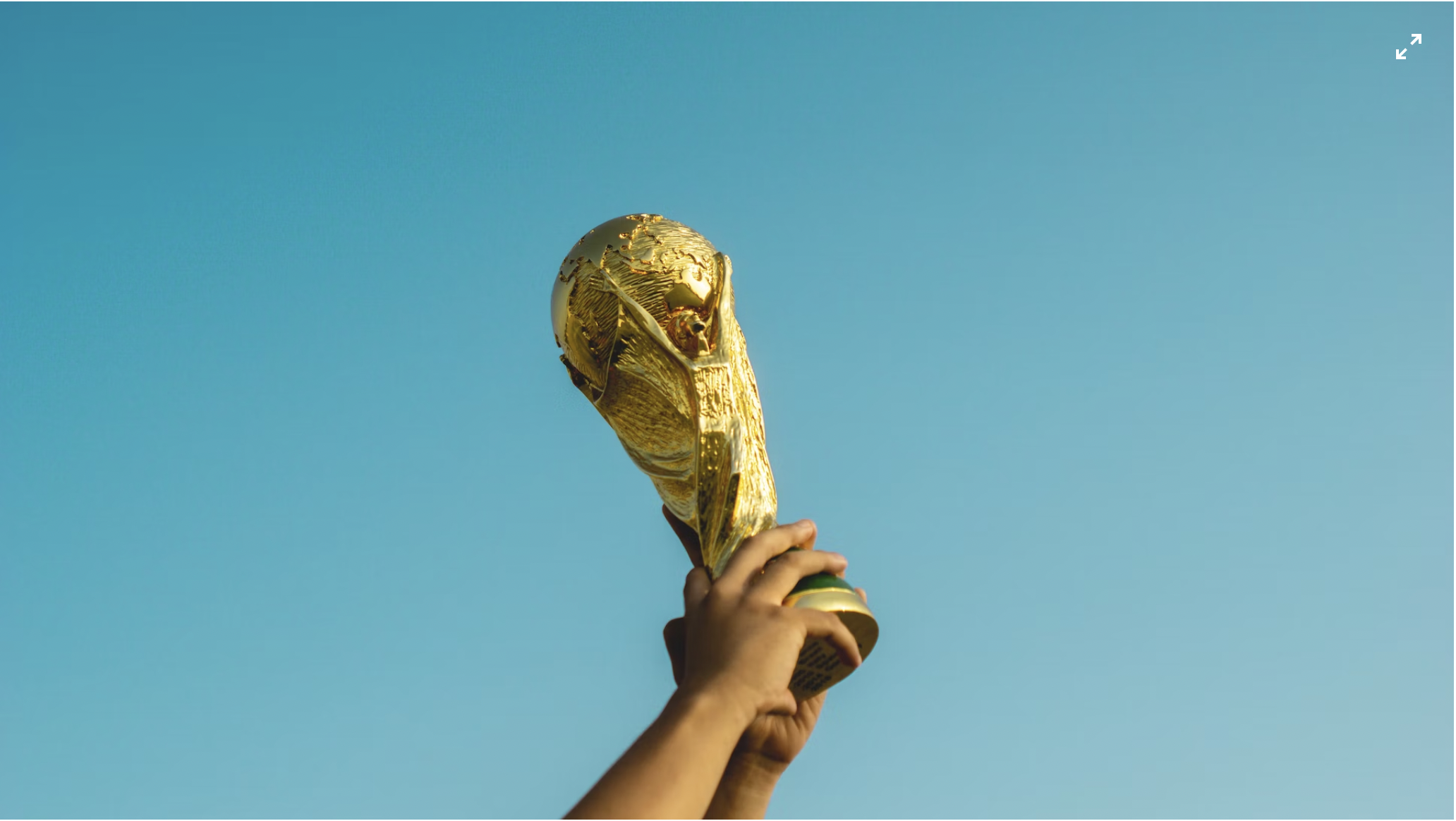 World Cup: A Divisive Competition Unites the Middle East 