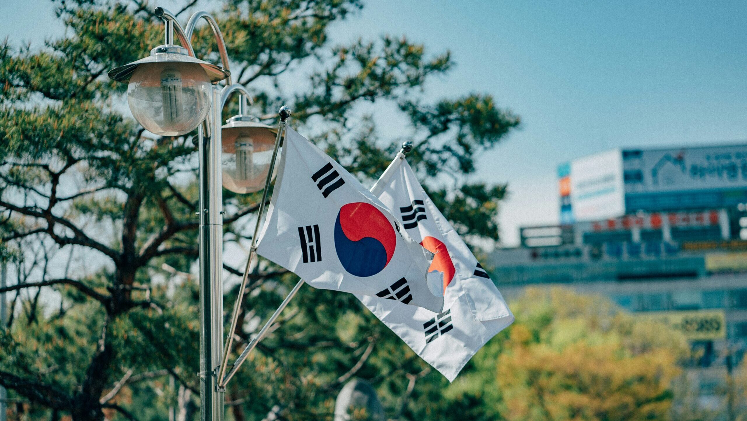 Into the New World – What do South Korean protesters really want now?